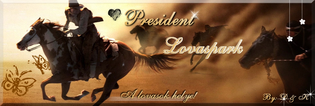 President Lovaspark, a lovasok helye!